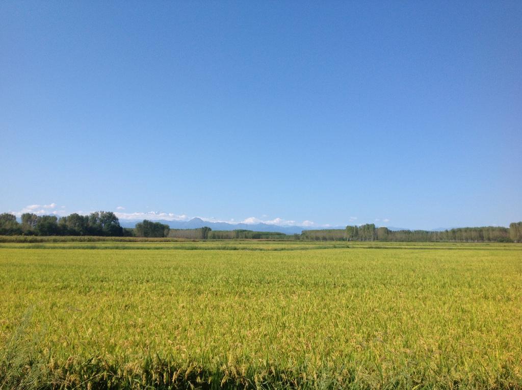 Campagnole Aparthotel Vicolungo